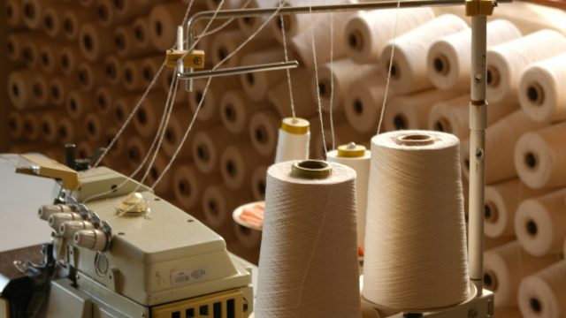 caroline-badran-YWTNP6Y5AHc-unsplash